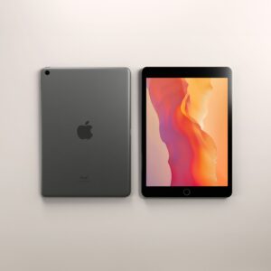 iPad (9th generation) 256GB WiFi i + 4G LTE (Unlocked)