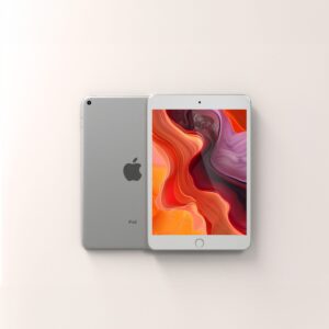 iPad mini (5th generation) 256GB WiFi + 4G LTE (Unlocked)